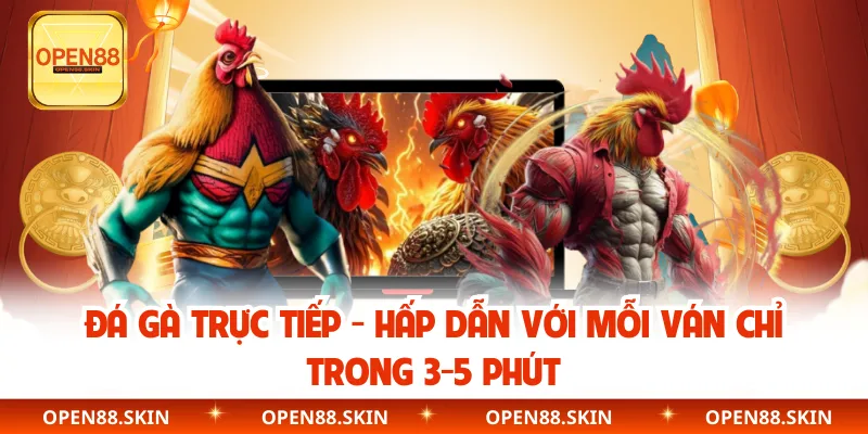 Đá Gà Trực Tiếp - Hấp Dẫn Với Mỗi Ván Chỉ Trong 3-5 Phút