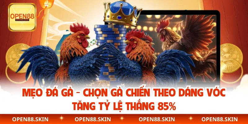 Mẹo Đá Gà - Chọn Gà Chiến Theo Dáng Vóc Tăng Tỷ Lệ Thắng 85%