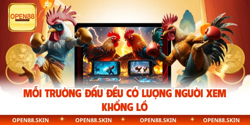 Mỗi trường đấu đều có lượng người xem khổng lồ