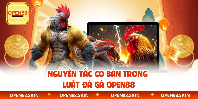 Nguyên tắc cơ bản trong luật đá gà OPEN88