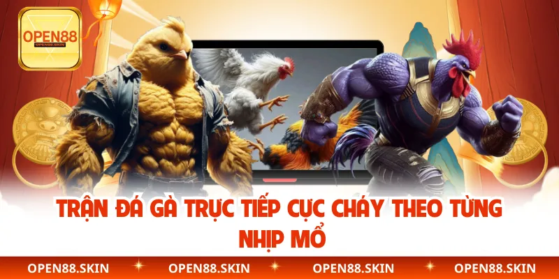 Trận đá gà trực tiếp cực cháy theo từng nhịp mổ