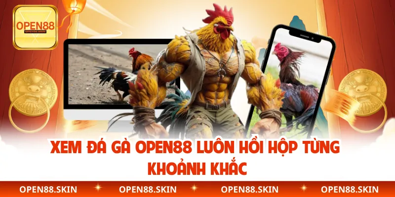 Xem đá gà Open88 luôn hồi hộp từng khoảnh khắc